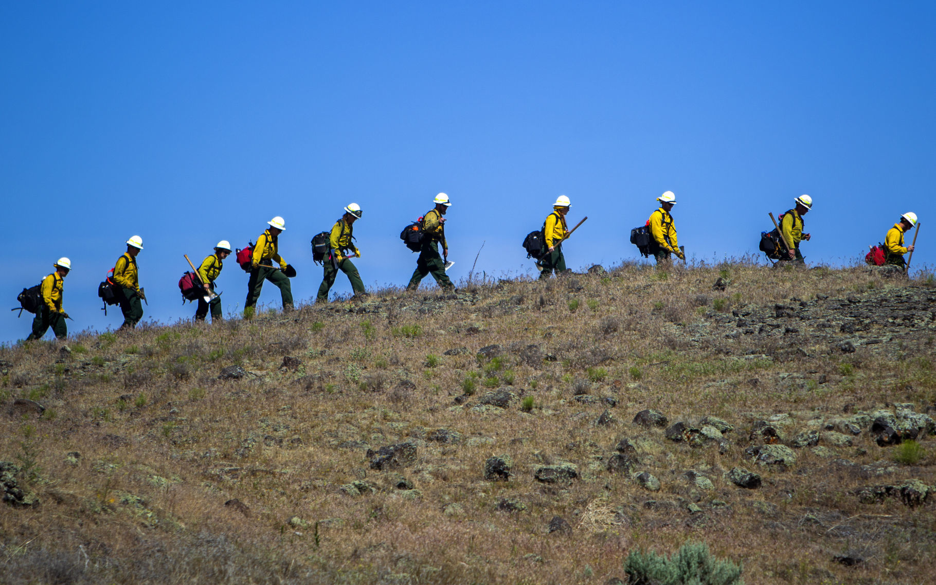 BLM Fire Training